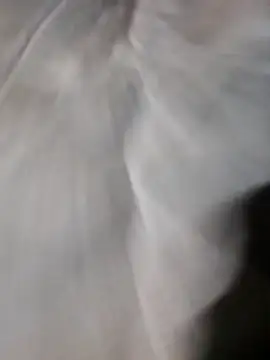 poke90201 online show from March 2026 12:58:02 AM