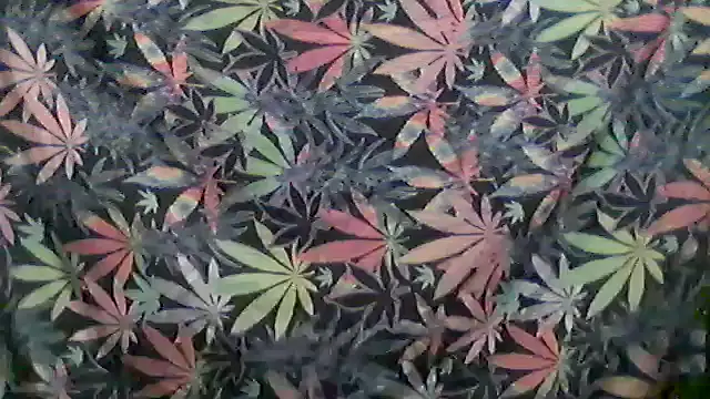 Snapshot of libraxxxstudios chatting on May 2026 11:26:01 AM libraxxxstudios online show from May 2026 11:26:01 AM