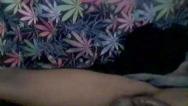 Snapshot of libraxxxstudios chatting on June 2026 04:57:01 AM libraxxxstudios online show from June 2026 04:57:01 AM