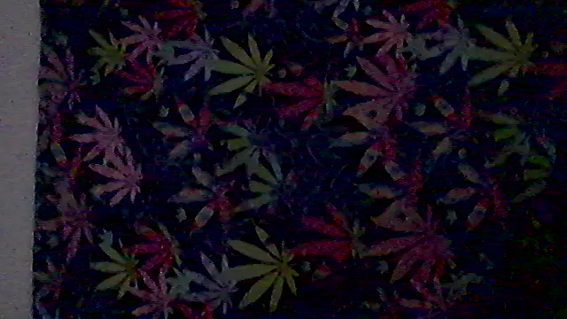 Snapshot of libraxxxstudios chatting on July 2026 12:11:02 PM libraxxxstudios online show from July 2026 12:11:02 PM