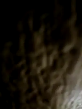 Taboada20 online show from March 2026 08:08:02 PM