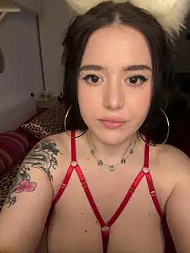 Snapshot of Venustrapp chatting on February 2026 02:47:01 PM Venustrapp online show from February 2026 02:47:01 PM