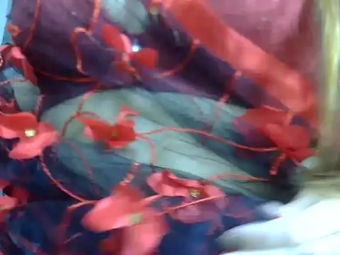 anvika 1709 online show from February 2026 04:33:01 PM