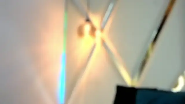 Snapshot of MeelFox chatting on February 2026 12:45:01 PM MeelFox online show from February 2026 12:45:01 PM