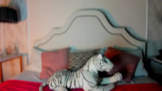 Snapshot of niicole_garner chatting on February 2026 04:34:02 PM niicole garner online show from February 2026 04:34:02 PM