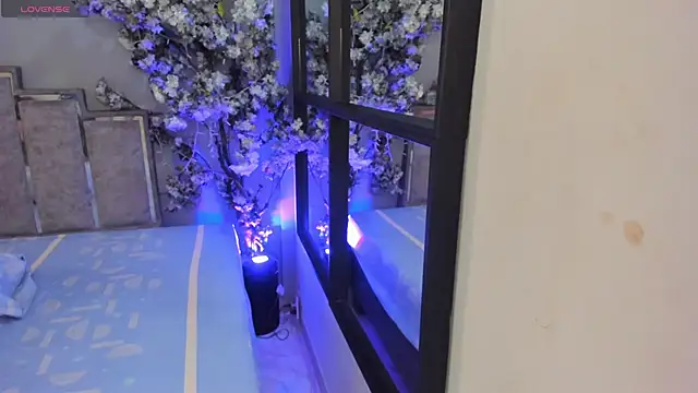 Snapshot of Nalapalmer chatting on February 2026 07:39:01 PM Nalapalmer online show from February 2026 07:39:01 PM