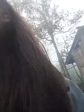 bigdady112 online show from March 2026 01:47:01 AM