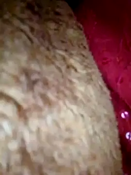 Talkwithsex online show from April 2026 07:53:01 AM