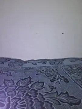 Sakeemaxxy online show from April 2026 09:09:02 PM