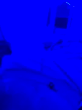 bojo69 online show from February 2026 12:12:01 PM