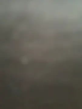 Ximena firee online show from February 2026 11:11:01 AM