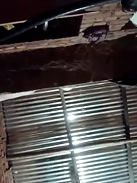 Hot ree64 online show from March 2026 05:23:02 PM