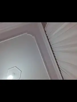 Snapshot of boraaily chatting on February 2026 10:39:01 PM boraaily online show from February 2026 10:39:01 PM