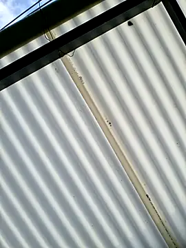 Snapshot of Pau_2007 chatting on February 2026 01:04:02 PM Pau 2007 online show from February 2026 01:04:02 PM