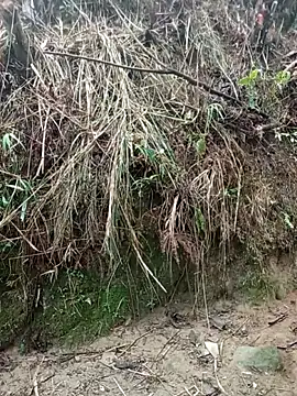 aiai220 online show from March 2026 01:22:02 AM