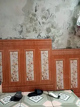 aiai220 online show from March 2026 11:59:02 PM