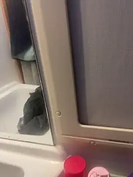 stallone italiano 62 online show from February 2026 06:56:01 AM