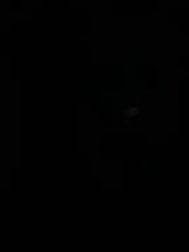 stallone italiano 62 online show from April 2026 04:39:01 AM