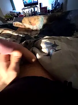 Ninfo920817 online show from February 2026 08:36:01 AM