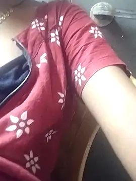 telugusailaja online show from March 2026 02:04:01 AM