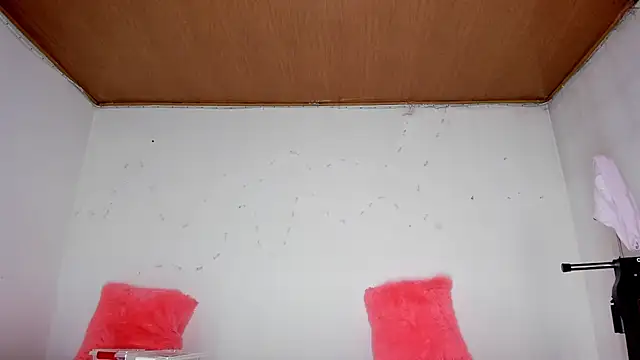 Snapshot of karol_kane chatting on February 2026 03:19:01 PM karol kane online show from February 2026 03:19:01 PM