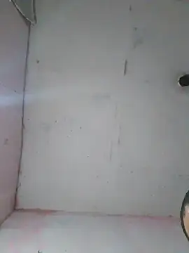 cobrosdepagos online show from February 2026 05:40:02 AM