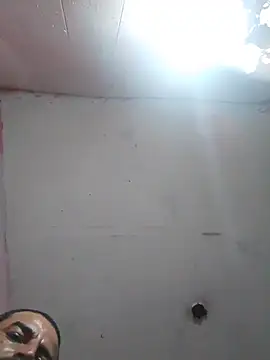 cobrosdepagos online show from February 2026 09:29:02 AM