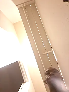 stressrliver88 online show from March 2026 05:33:01 AM