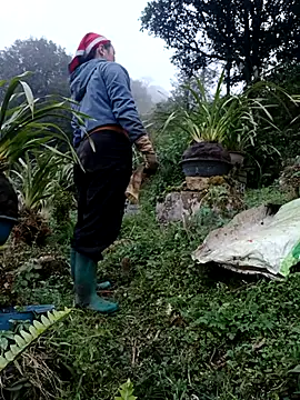 Snapshot of nelina_12345 chatting on February 2026 10:44:02 AM nelina 12345 online show from February 2026 10:44:02 AM