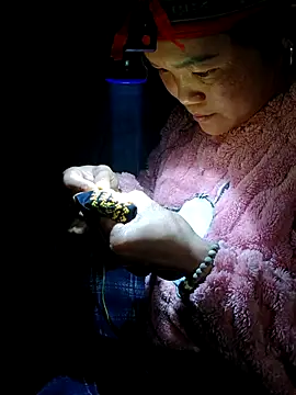 Snapshot of nelina_12345 chatting on February 2026 01:51:01 PM nelina 12345 online show from February 2026 01:51:01 PM