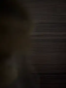 safadinhaputinha69 online show from April 2026 12:51:02 PM