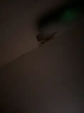 Valentinacouple online show from March 2026 07:16:02 AM