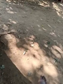 Locky kamani online show from February 2026 08:21:02 AM