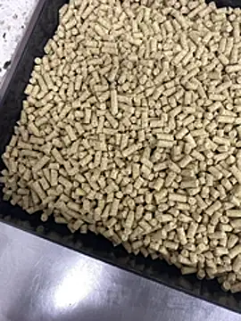 Snapshot of Elmanc chatting on February 2026 08:19:02 PM Elmanc online show from February 2026 08:19:02 PM