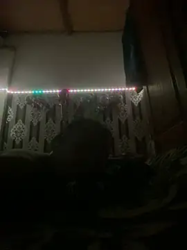 Snapshot of salimi26 chatting on February 2026 07:12:01 PM salimi26 online show from February 2026 07:12:01 PM