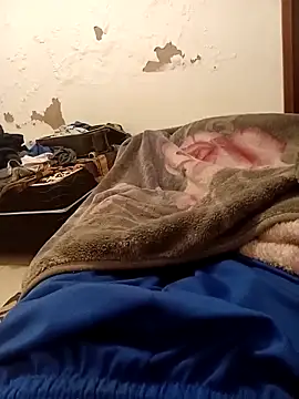 Mineirinho 85 online show from April 2026 05:01:02 AM