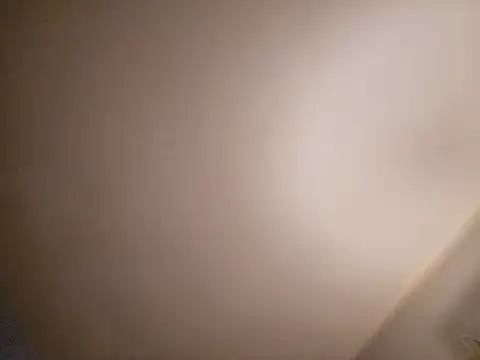 Snapshot of Schlongo420 chatting on January 2025 12:41:02 PM Schlongo420 online show from January 2025 12:41:02 PM