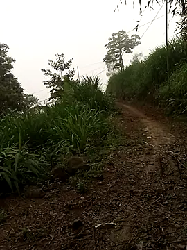 Nth5h online show from April 2026 11:27:01 PM