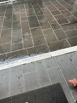 Snapshot of fre96 chatting on March 2026 01:18:01 PM fre96 online show from March 2026 01:18:01 PM