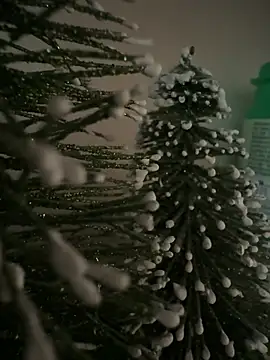 sexysou online show from April 2026 01:05:02 PM