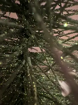 sexysou online show from April 2026 11:50:02 AM