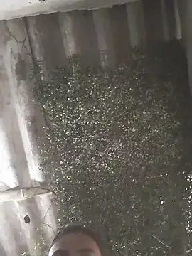 mar coral2 online show from March 2026 02:43:01 PM