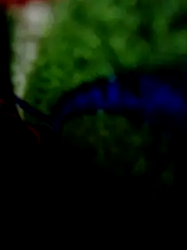 wifedesi7050 online show from April 2026 08:21:01 PM