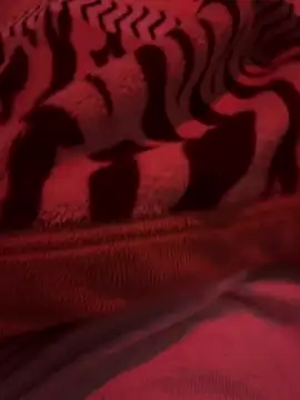 689Nika online show from March 2026 08:18:01 AM