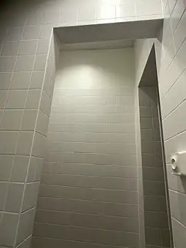 WhiteRose2020 online show from February 2026 05:50:01 AM