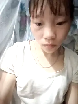 pic8800 online show from May 2026 10:37:02 PM