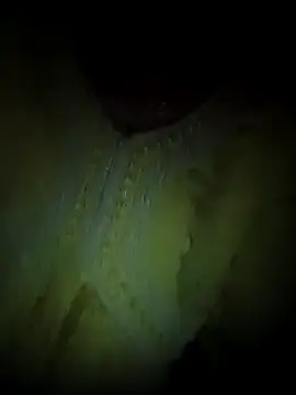 Rashmika Mandana online show from April 2026 07:03:02 PM