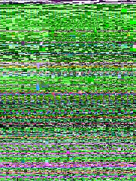 Snapshot of D_SnowL chatting on July 2026 07:49:02 PM D SnowL online show from July 2026 07:49:02 PM