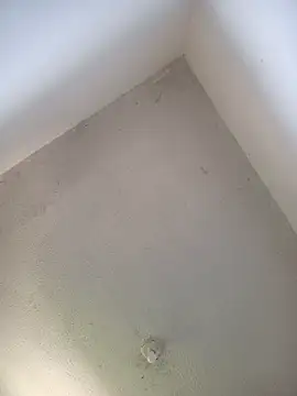 priscilaf online show from April 2026 11:53:02 AM