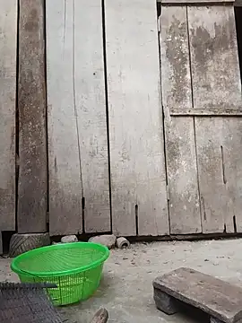 rinrin7700 online show from April 2026 10:16:02 AM